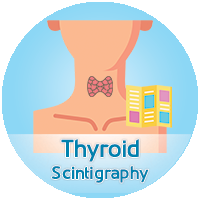 b thyroid en